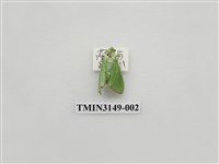 藏品(螟蛾300)的圖片